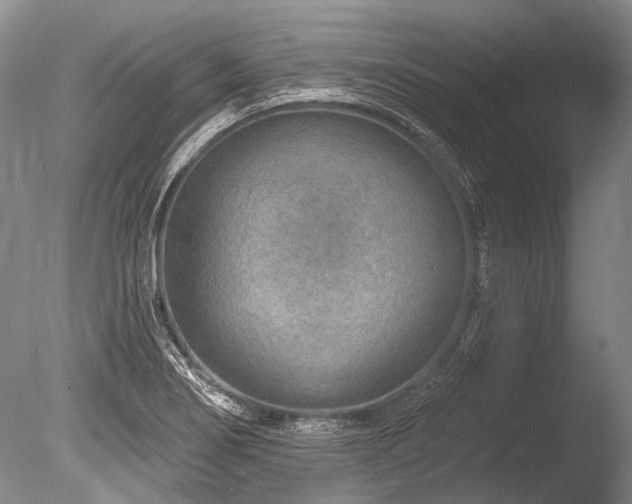 X0000086321274200703301208