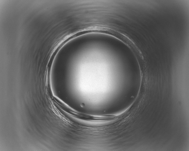 X0000086321276200703301208