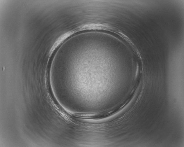 X0000086321277200703301208