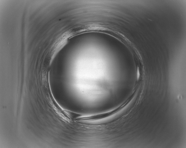 X0000086321281200703301208