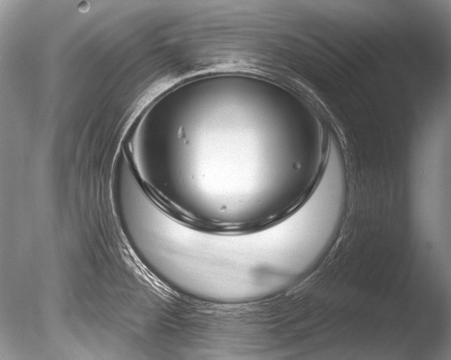 X0000086321284200703301208