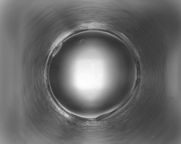 X0000086321285200703301208