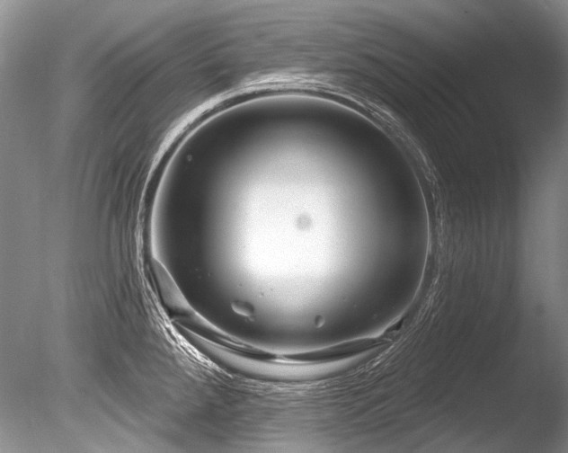 X0000086321288200703301208