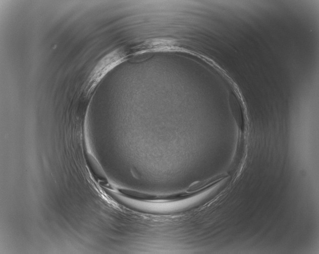 X0000086321289200703301208