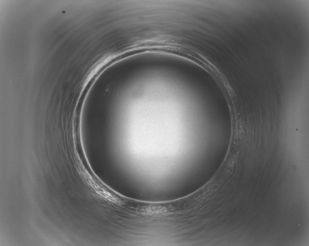X0000086321291200703301208