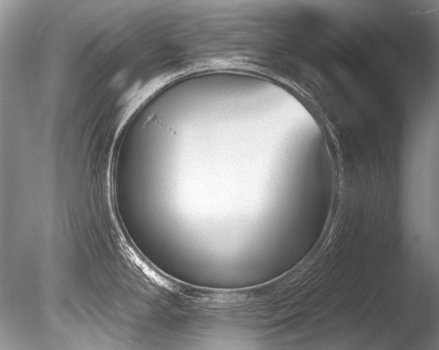 X0000086321294200703301208
