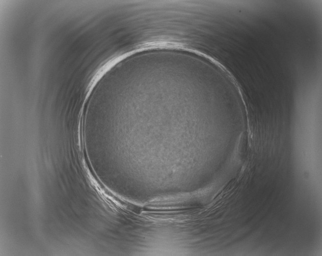 X0000086321295200703301208