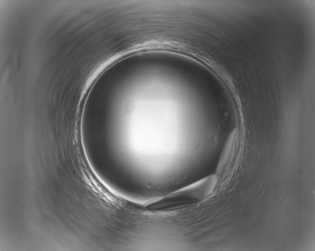 X0000086321296200703301208