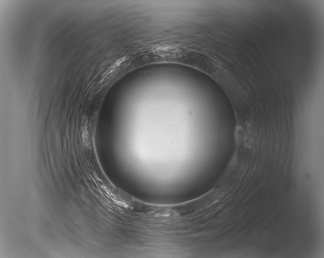 X0000086321298200703301207