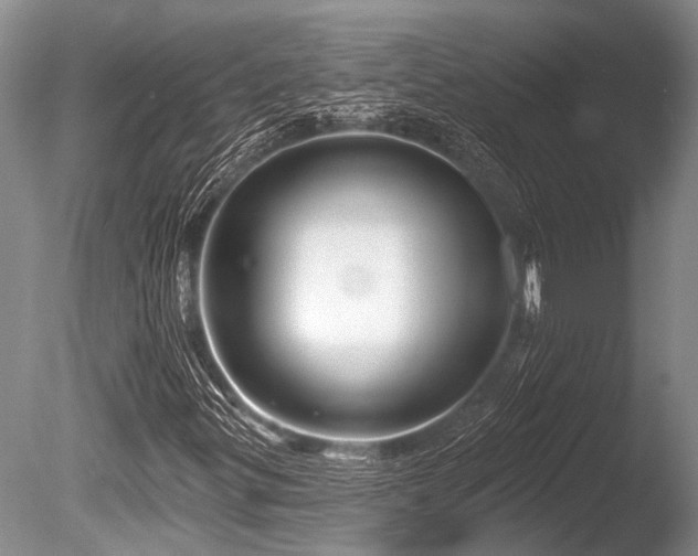 X0000086321299200703301207