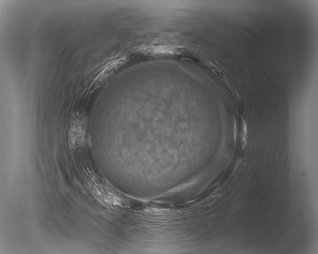 X0000086321300200703301207