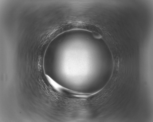 X0000086321301200703301207