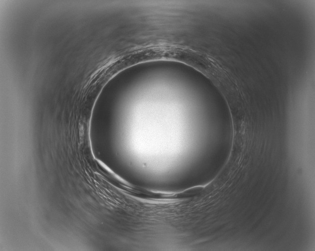 X0000086321302200703301207