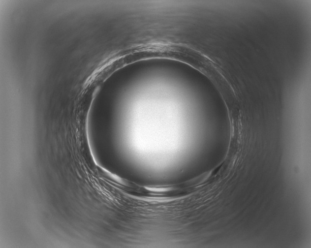 X0000086321304200703301207