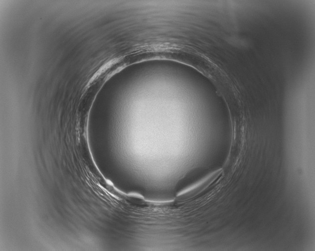 X0000086321306200703301207