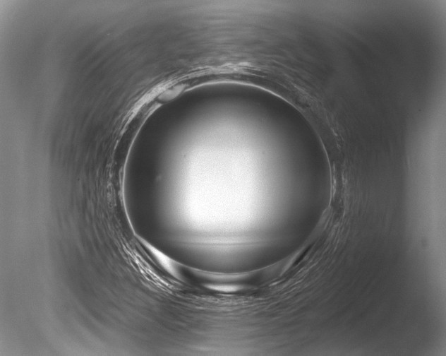 X0000086321308200703301207