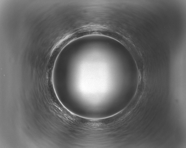 X0000086321309200703301207