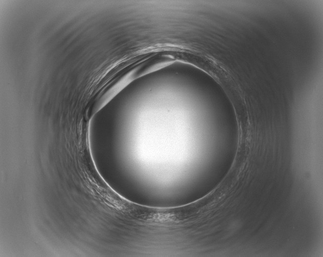 X0000086321313200703301207