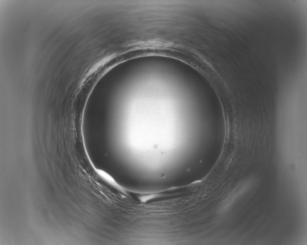 X0000086321315200703301207