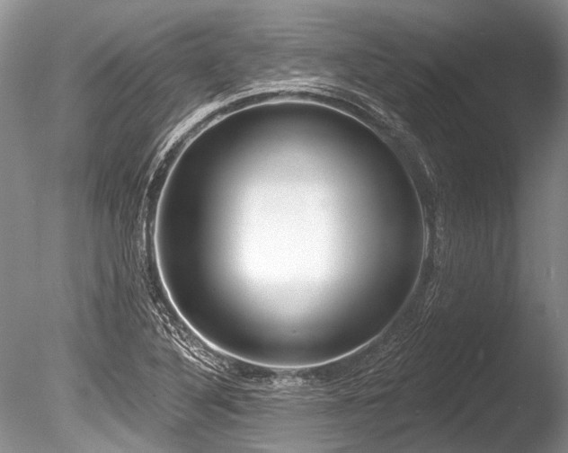 X0000086321316200703301207