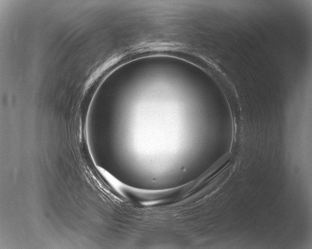 X0000086321317200703301207