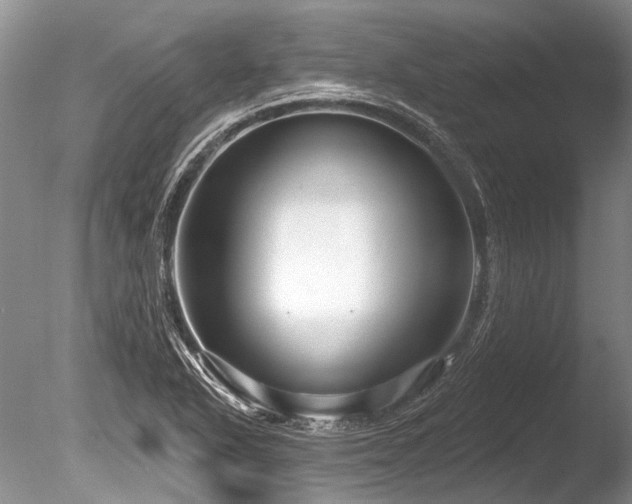 X0000086321318200703301207