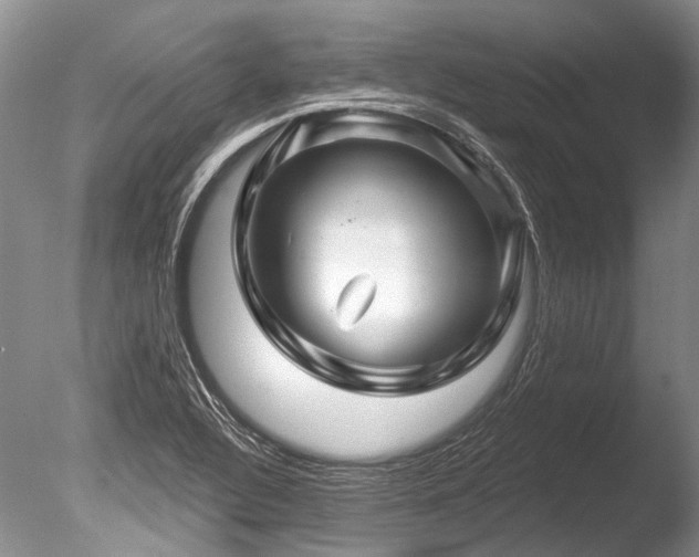 X0000086321320200703301207