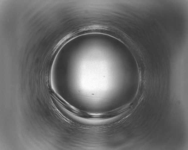 X0000086321321200703301207