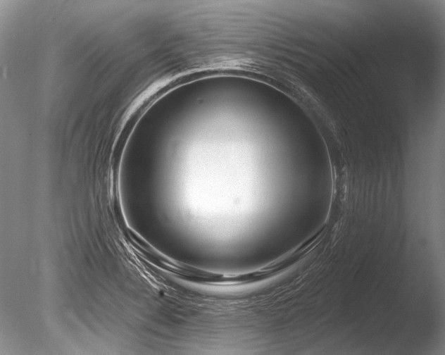 X0000086321324200703301207