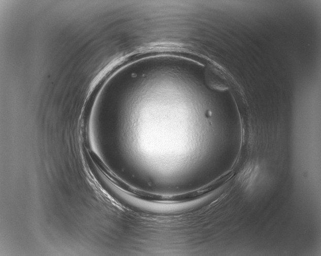 X0000086321325200703301207