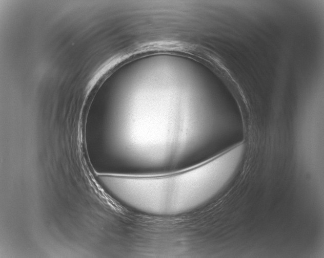 X0000086321328200703301207