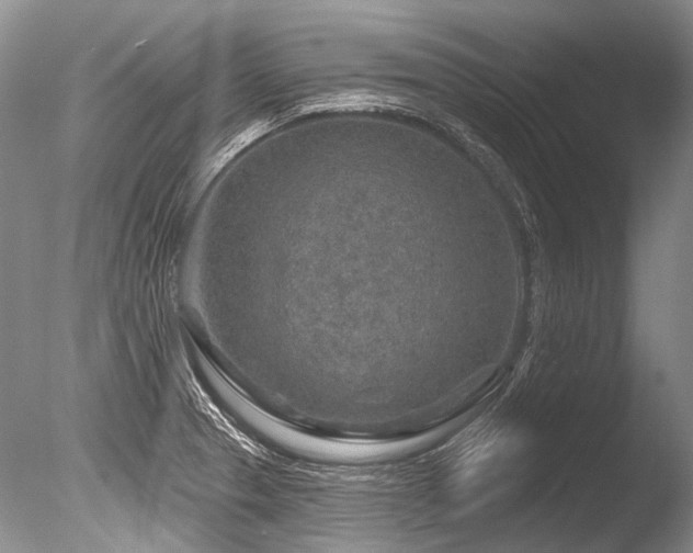 X0000086321329200703301207