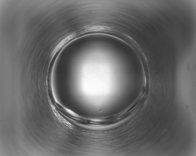 X0000086321330200703301207