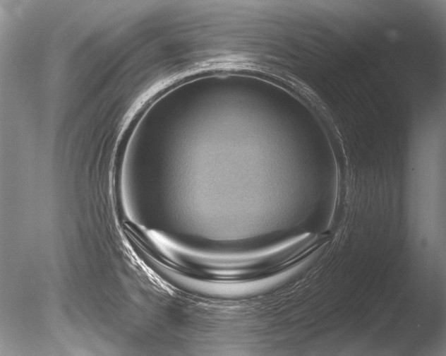 X0000086321334200703301207