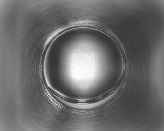 X0000086321336200703301207