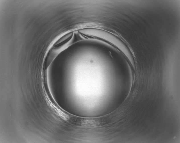 X0000086321339200703301208