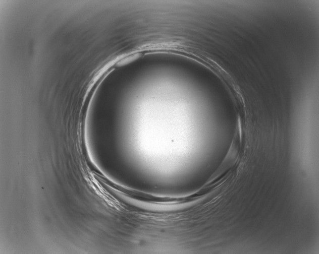 X0000086321340200703301208