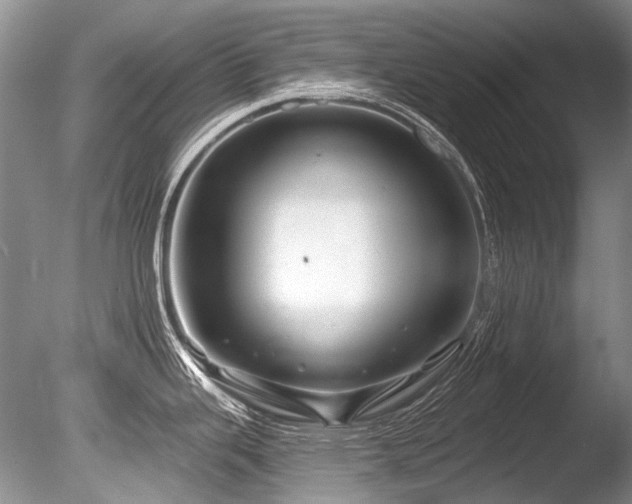 X0000086321343200703301208