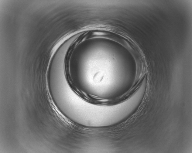 X0000086321344200703301208