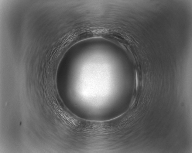 X0000086321345200703301207