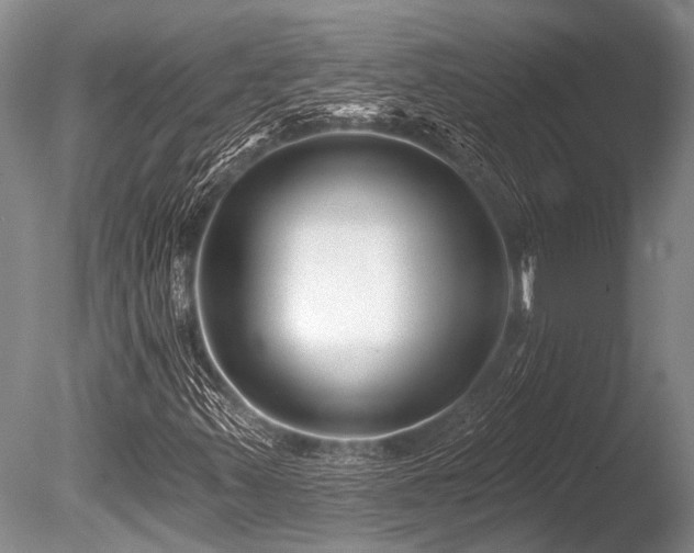 X0000086321347200703301207