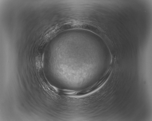 X0000086321348200703301207
