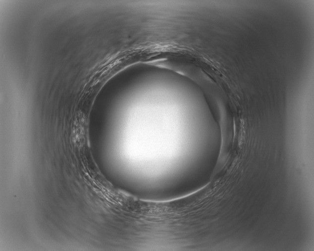 X0000086321349200703301207