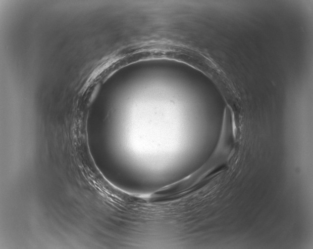 X0000086321352200703301207