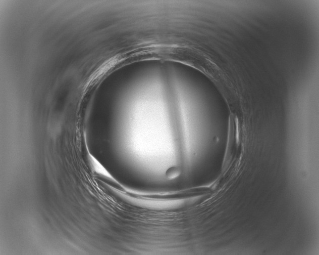 X0000086321354200703301207