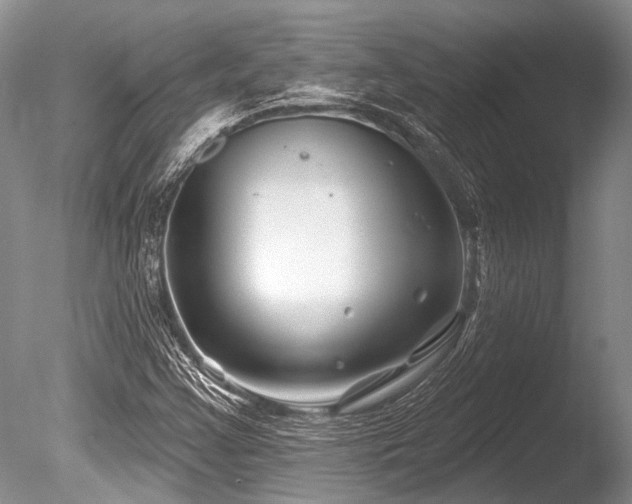 X0000086321355200703301207