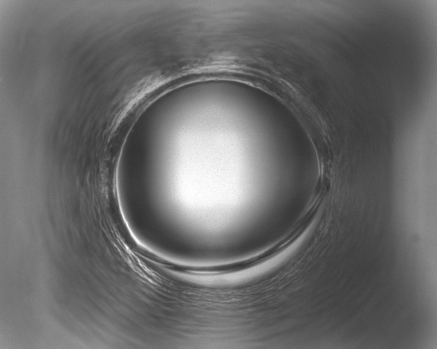 X0000086321356200703301207