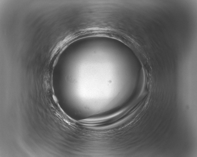 X0000086321357200703301207
