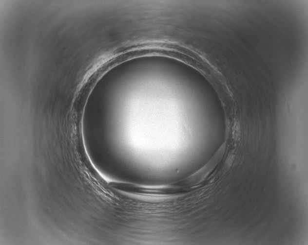 X0000086321360200703301207