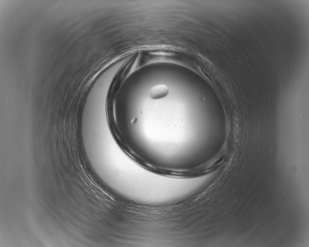 X0000086321361200703301206